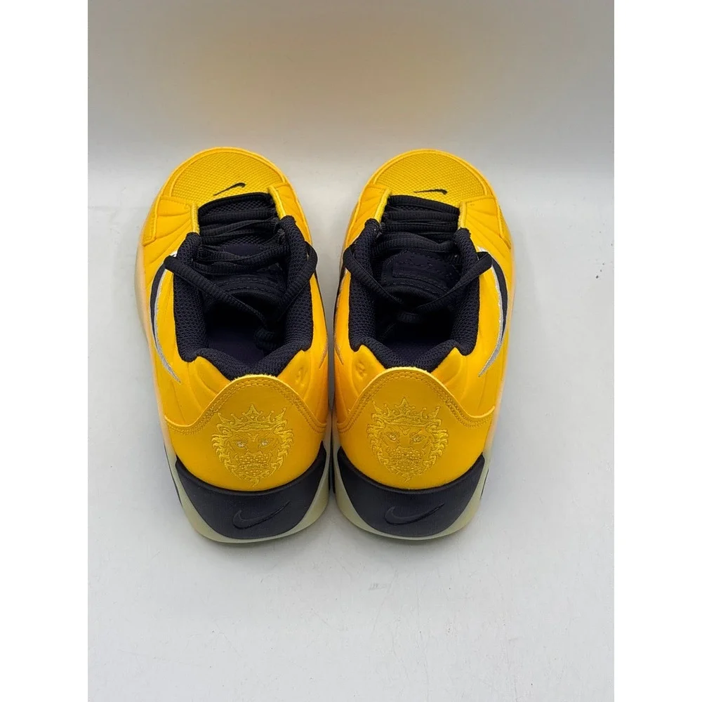 Nike lebron witness